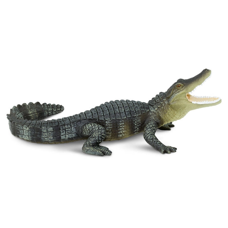 Safari Ltd Alligator