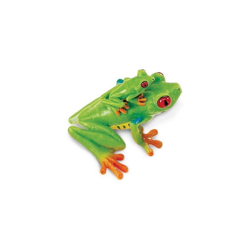 Safari Ltd Red-Eyed Tree Frog