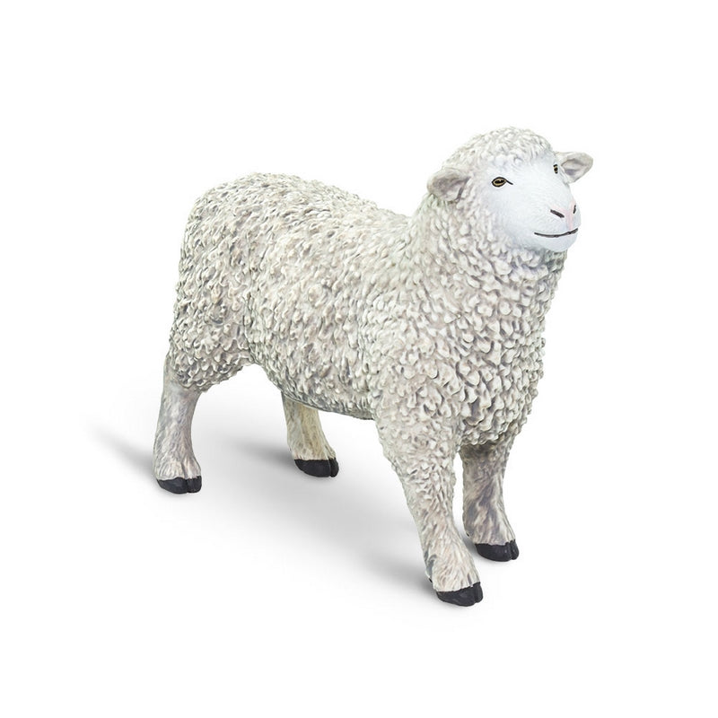 Safari Ltd Sheep