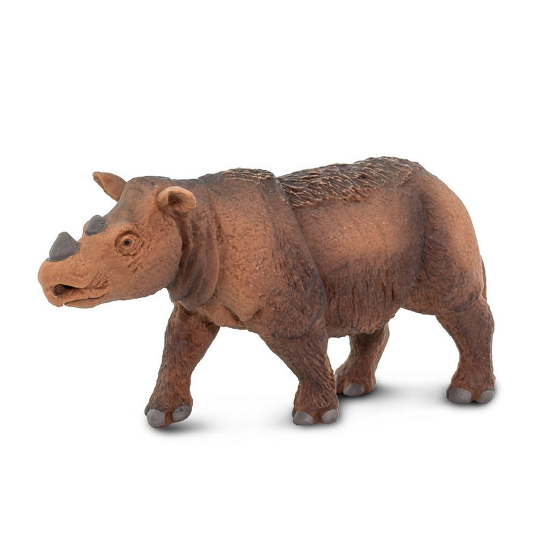 Safari Ltd Sumatran Rhino