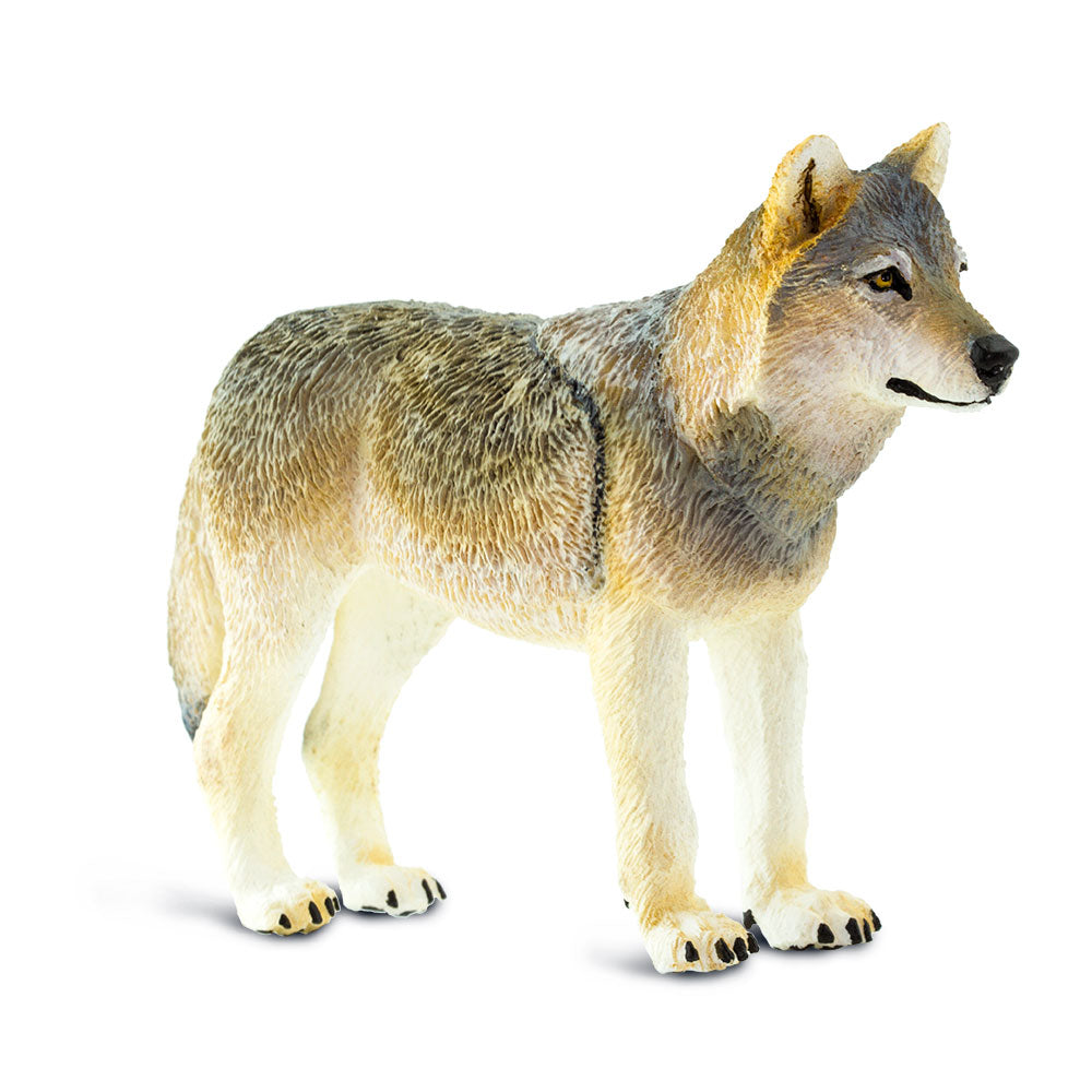 Safari Ltd Gray Wolf