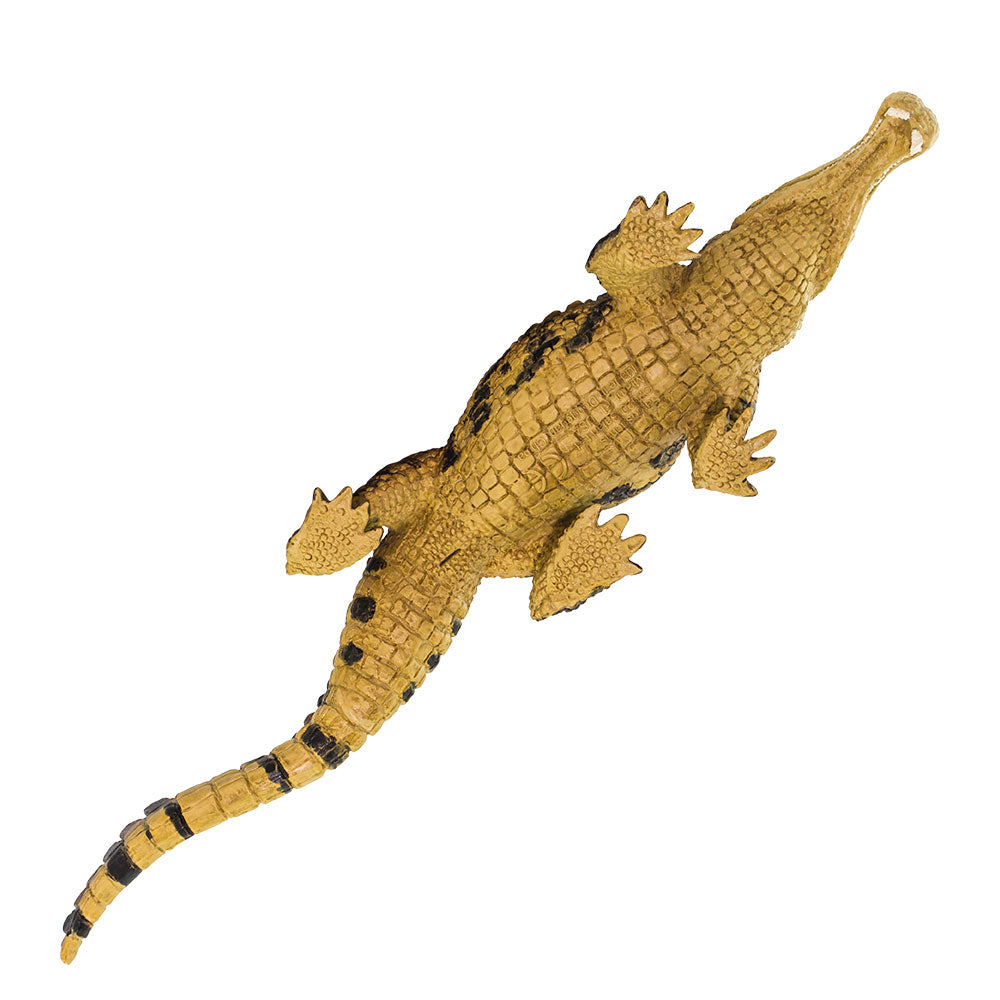 Safari Ltd Sarcosuchus