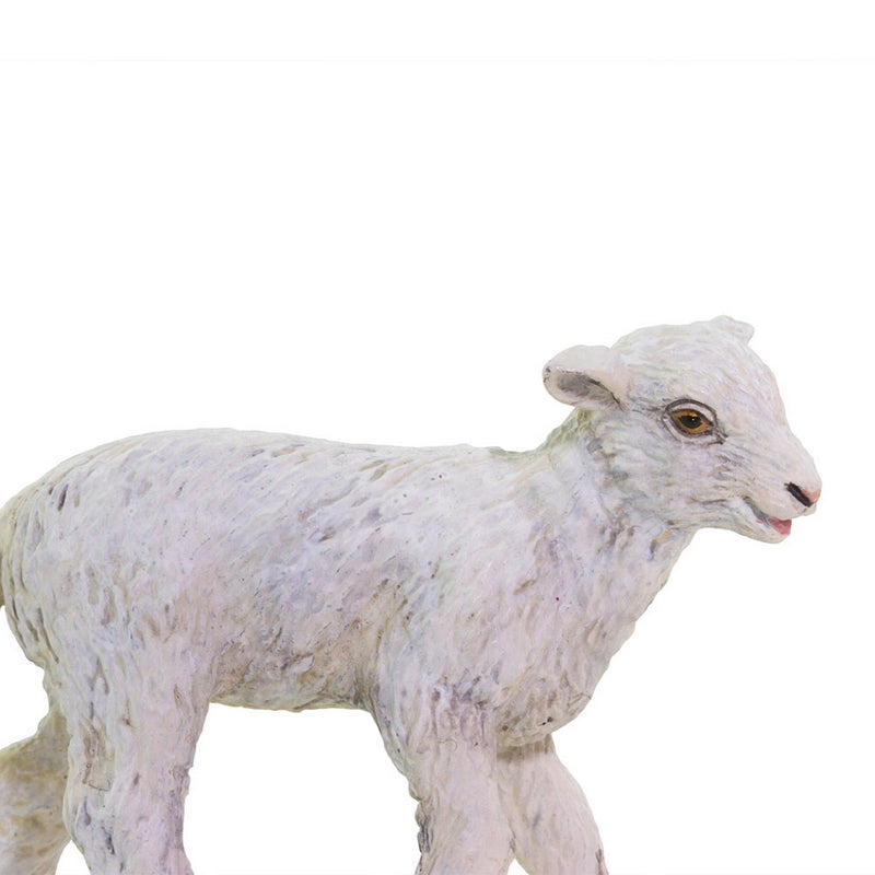 Safari Ltd Lamb