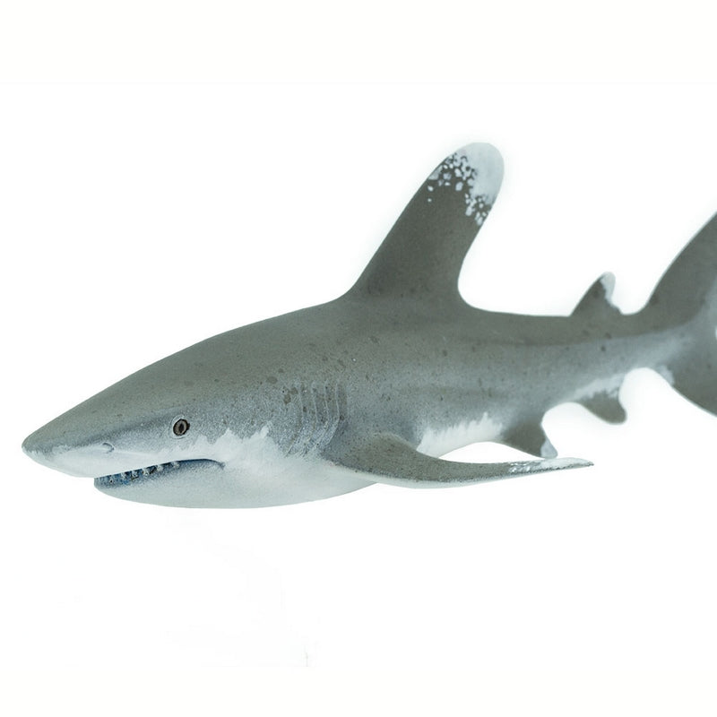 Safari Ltd Ocean Whitetip Shark