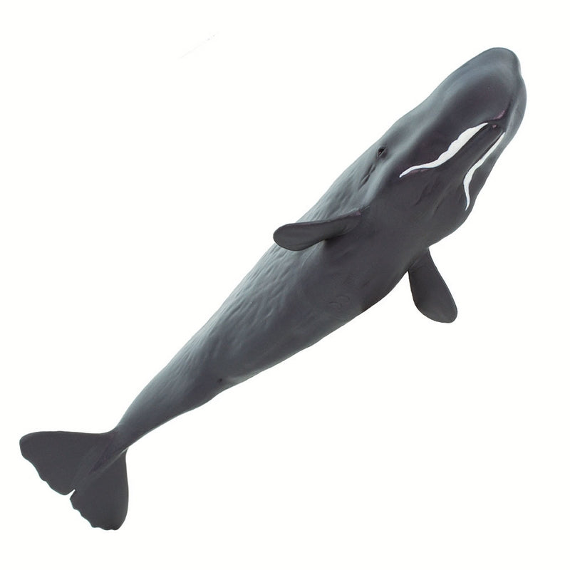 Safari Ltd Sperm Whale