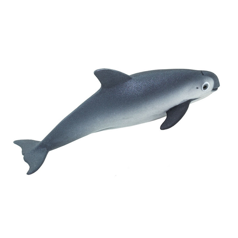 Safari Ltd Vaquita Porpoise