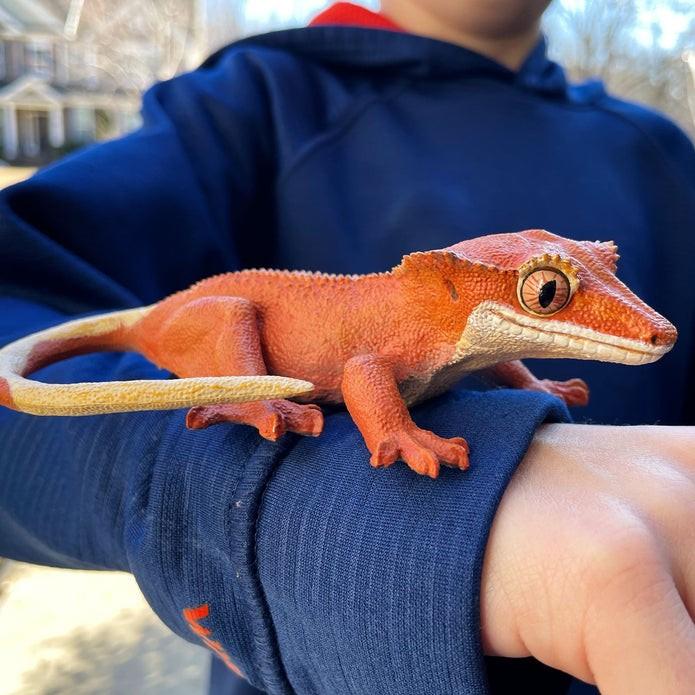 Safari Ltd Crested Gecko