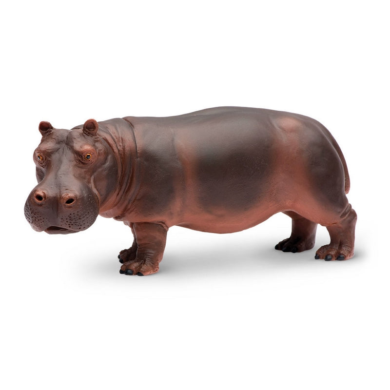 Safari Ltd Hippopotamus