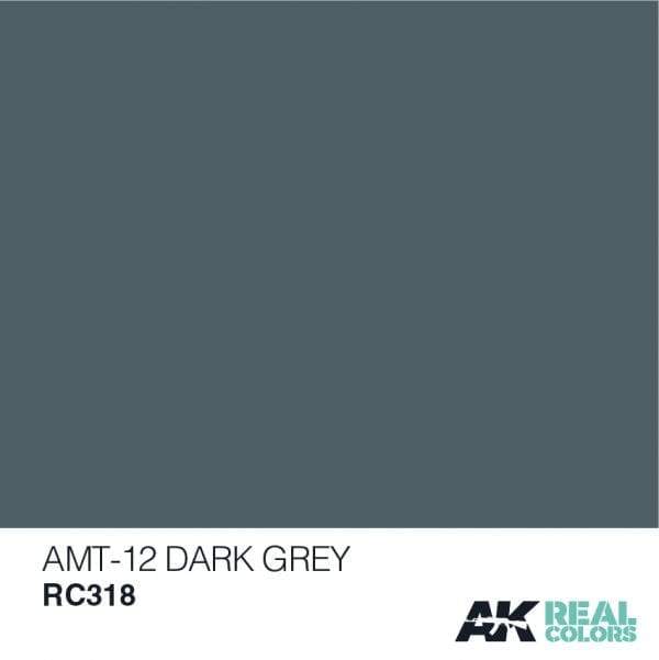 AK Interactive Real Colours Amt-12 DarkGrey 10ml