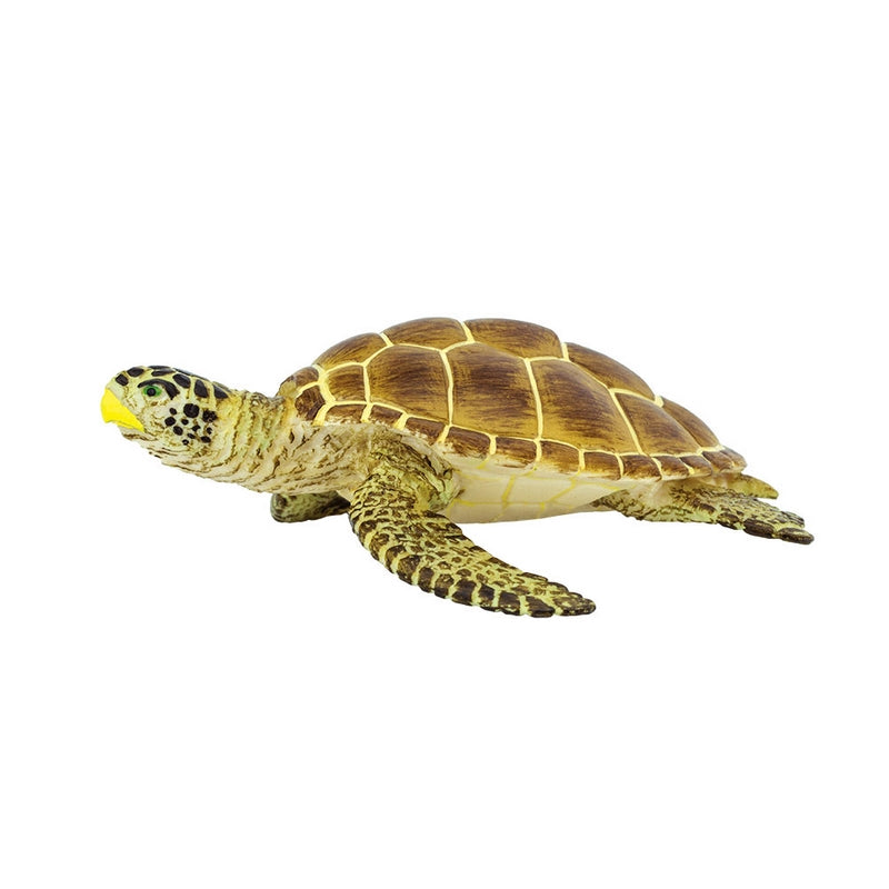 Safari Ltd Loggerhead Turtle