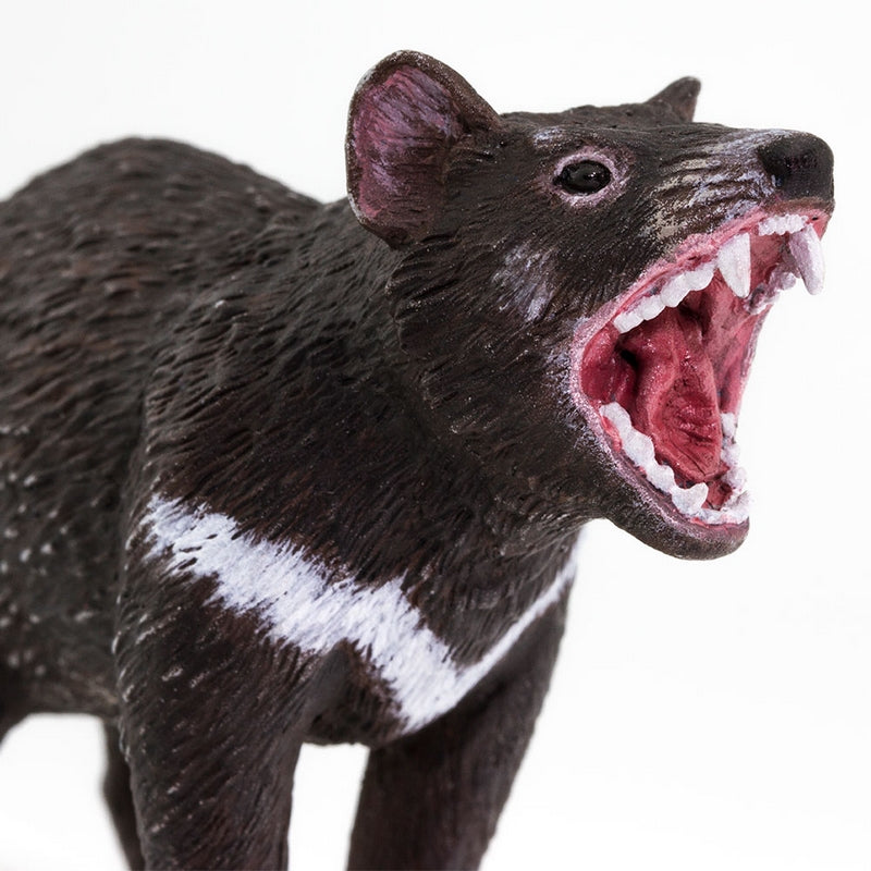 Safari Ltd Tasmanian Devil