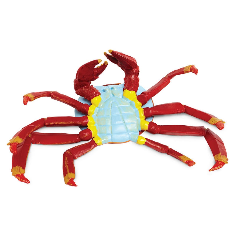 Safari Ltd Galapagos Sally Lightfoot Crab