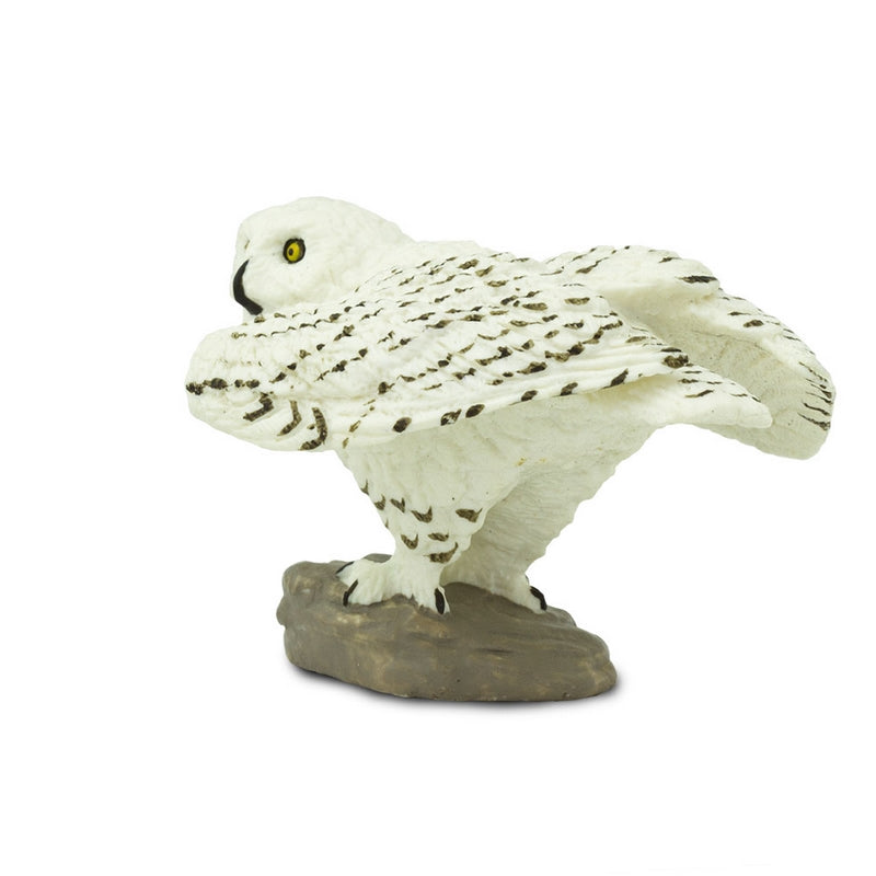 Safari Ltd Snowy Owl