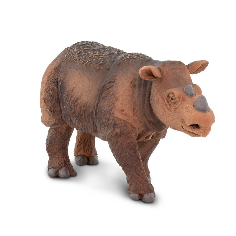 Safari Ltd Sumatran Rhino