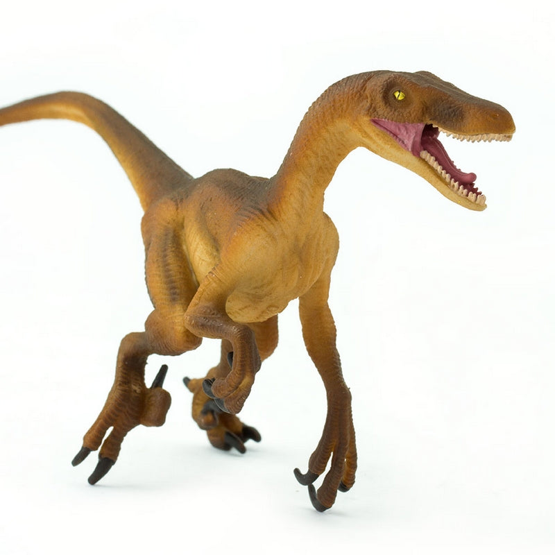 Safari Ltd Velociraptor