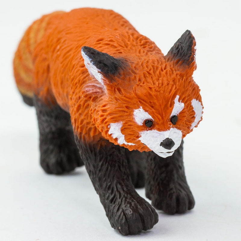 Safari Ltd Red Panda