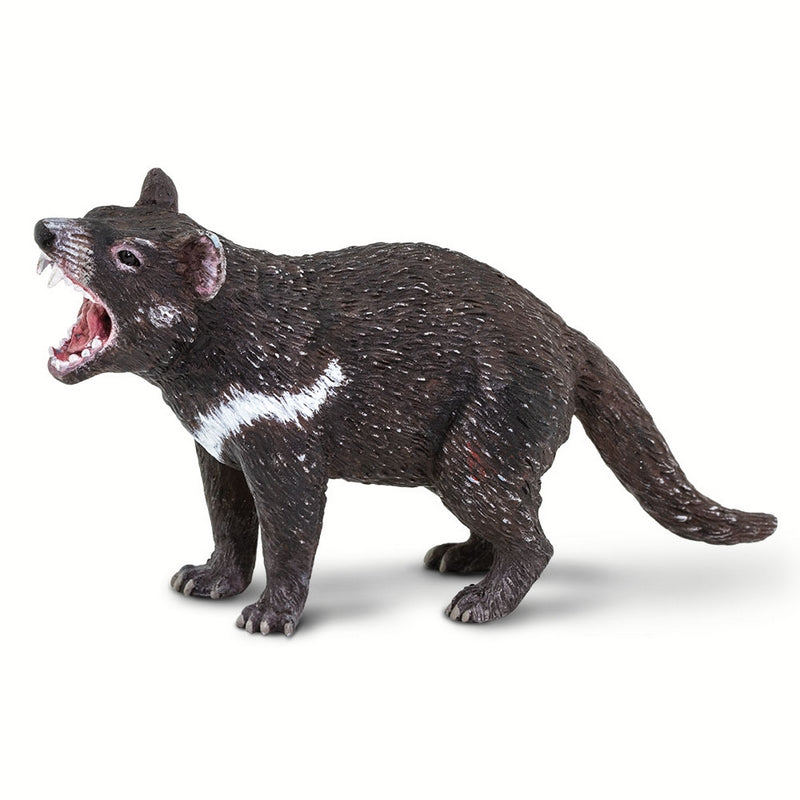 Safari Ltd Tasmanian Devil