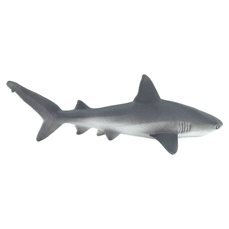 Safari Ltd Gray Reef Shark