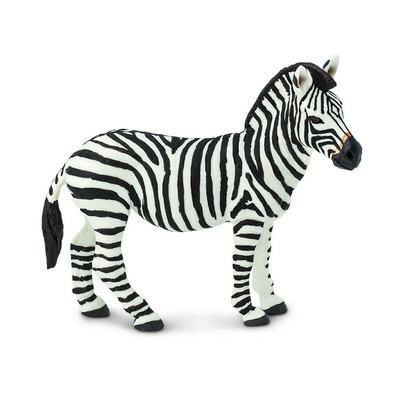 Safari Ltd Zebra