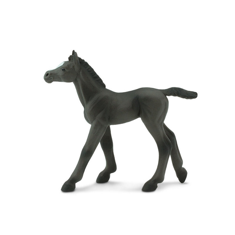 Safari Ltd Arabian Foal