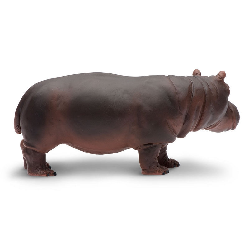 Safari Ltd Hippopotamus