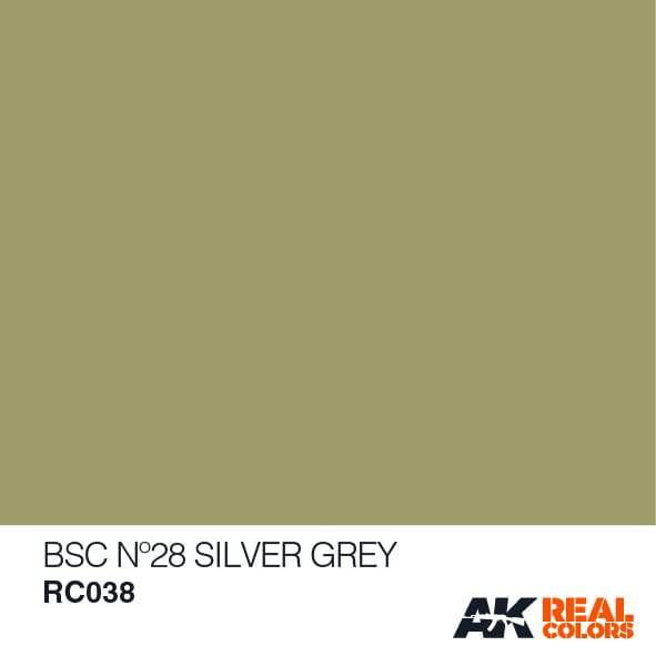 AK Interactive Real Colours Bsc Nº28 Silver Grey 10ml