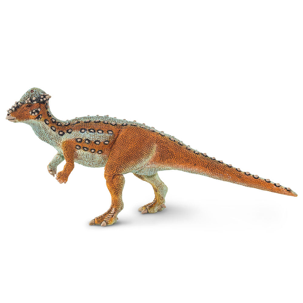 Safari Ltd Pachycephalosaurus