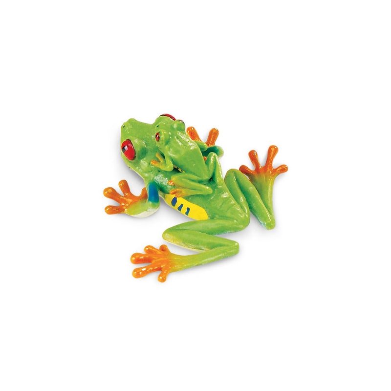 Safari Ltd Red-Eyed Tree Frog