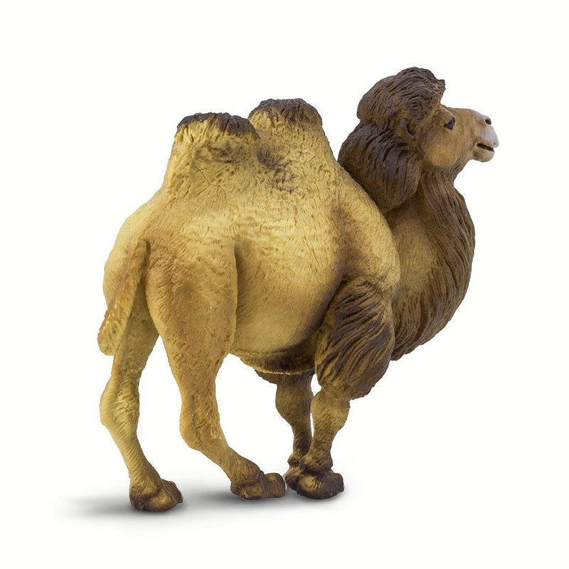 Safari Ltd Bactrian Camel