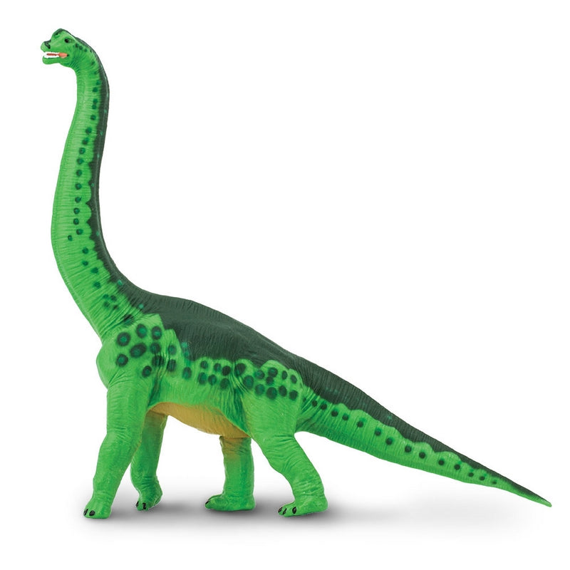 Safari Ltd Brachiosaurus