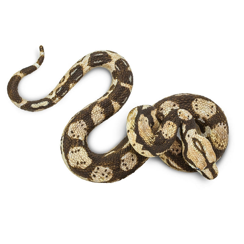 Safari Ltd Boa Constrictor