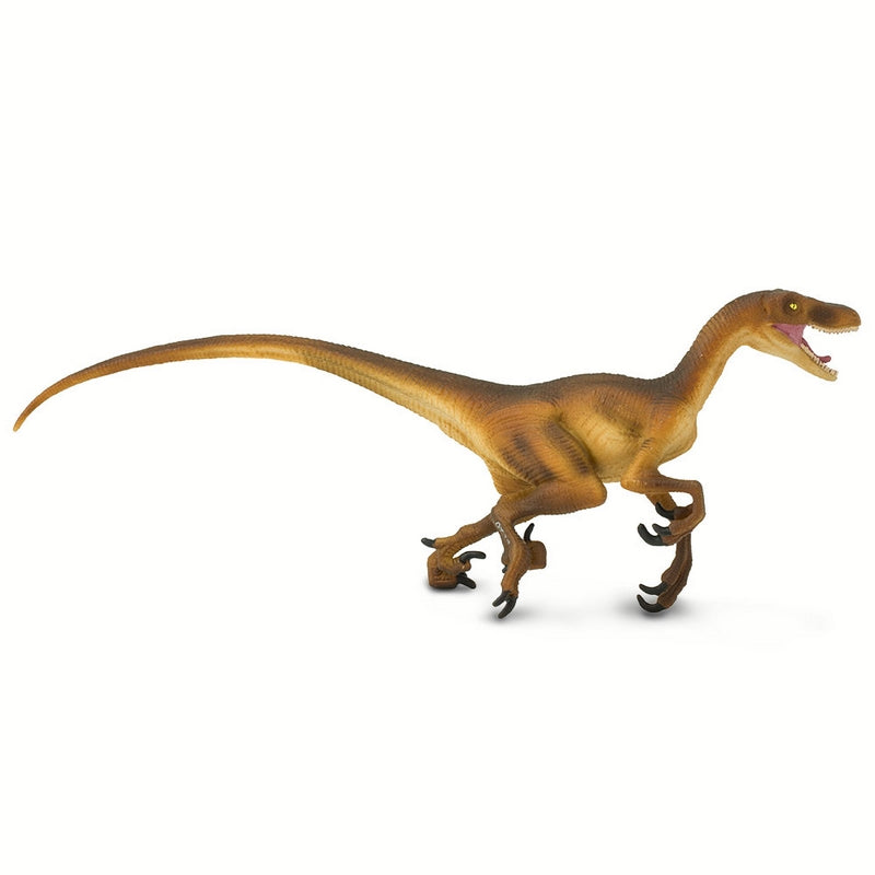 Safari Ltd Velociraptor