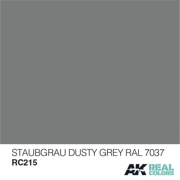 AK Interactive Real Colours Staubgrau-Dusty Grey RAL 7037 10ml