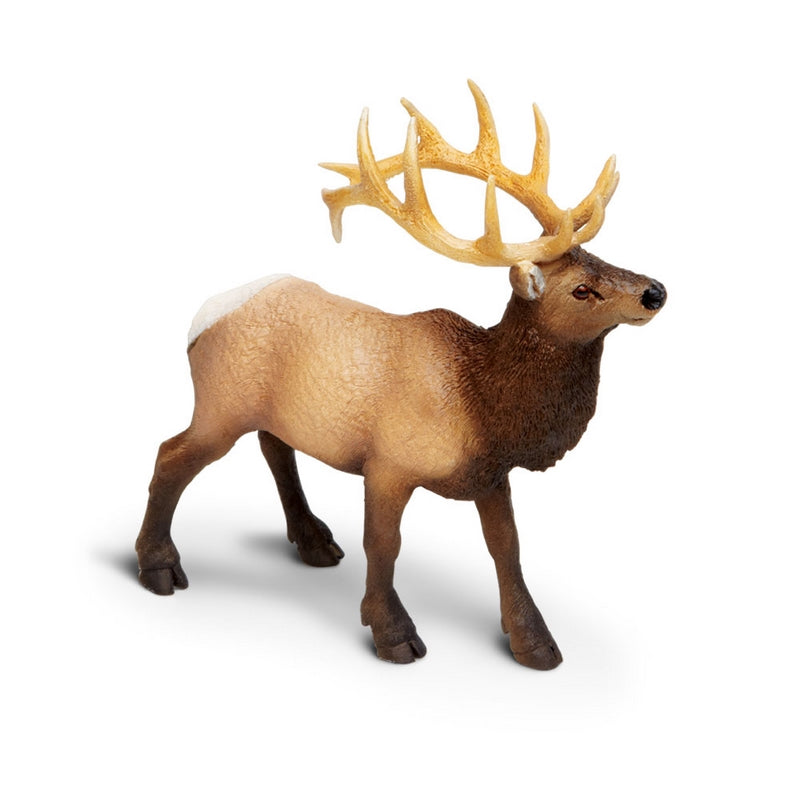 Safari Ltd Elk Bull