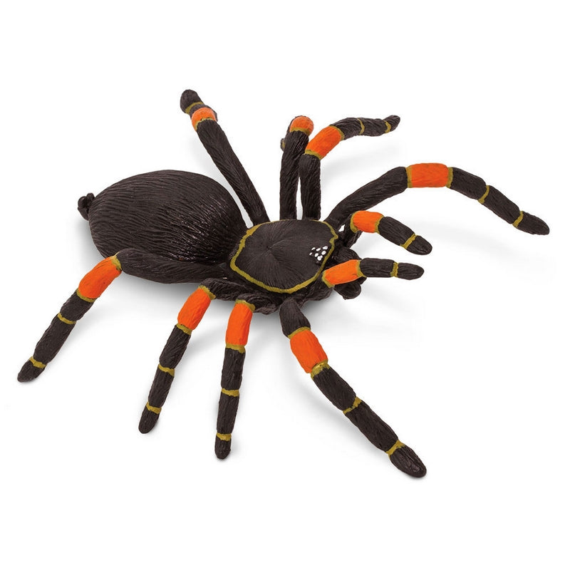 Safari Ltd Orange-Kneed Tarantula