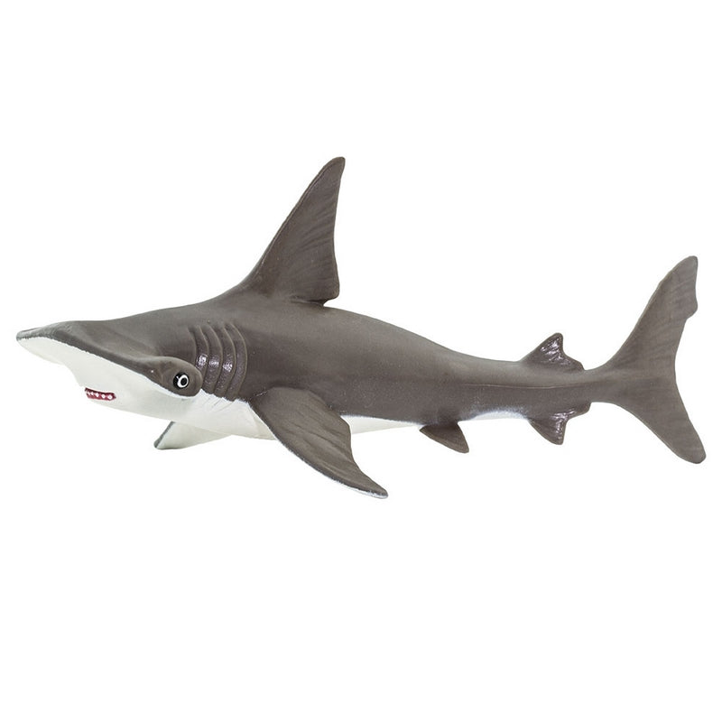 Safari Ltd Hammerhead Shark Baby