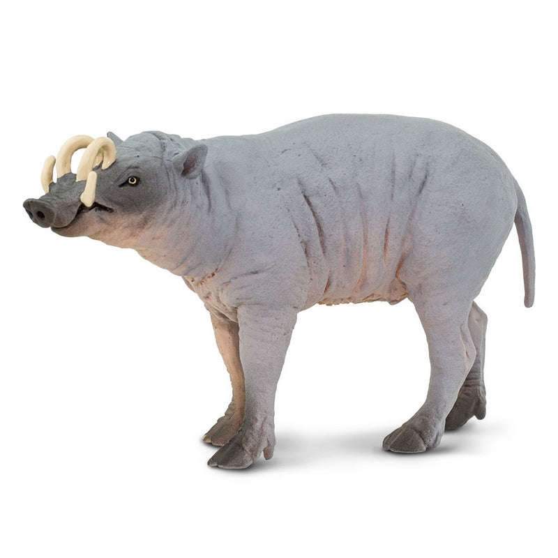 Safari Ltd Babirusa