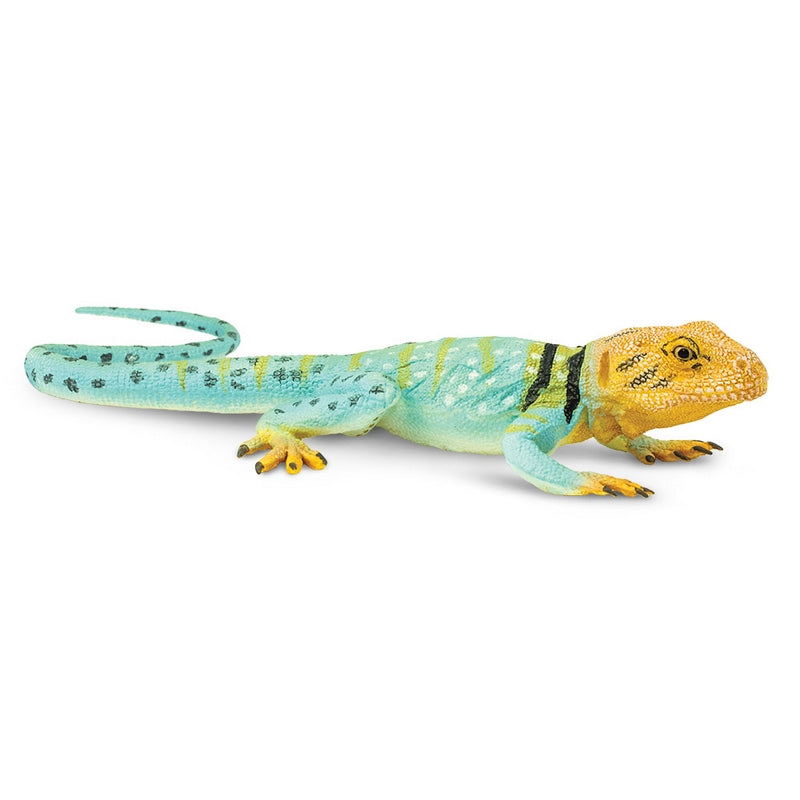 Safari Ltd Collared Lizard