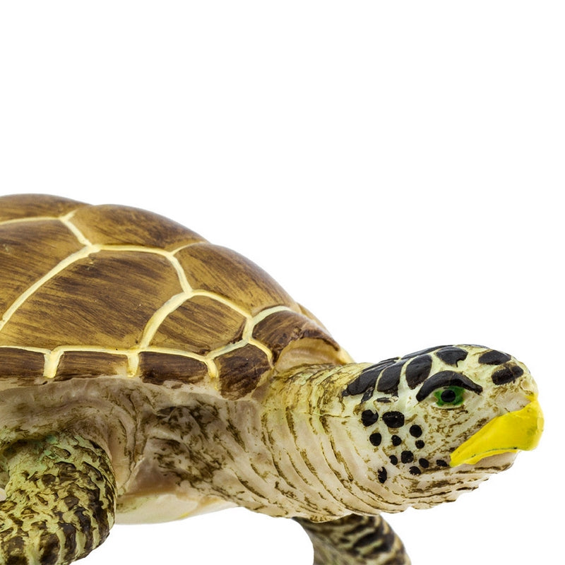 Safari Ltd Loggerhead Turtle