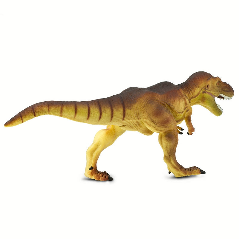 Safari Ltd Tyrannosaurus Rex