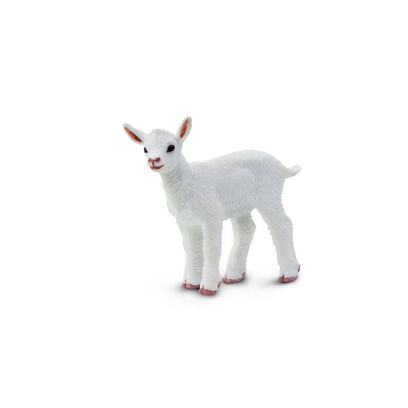 Safari Ltd Kid Goat