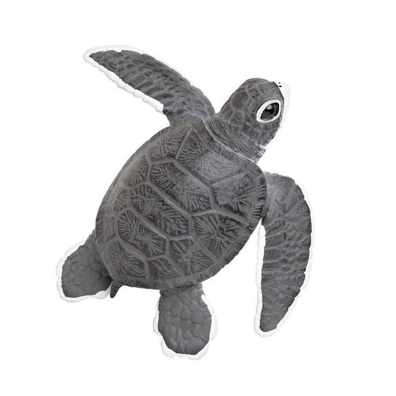 Safari Ltd Sea Turtle Baby