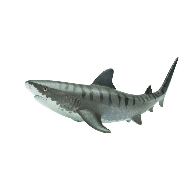 Safari Ltd Tiger Shark