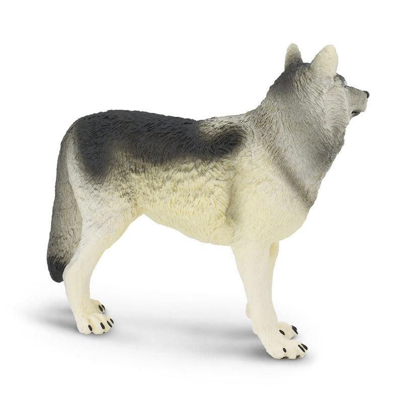 Safari Ltd Gray Wolf