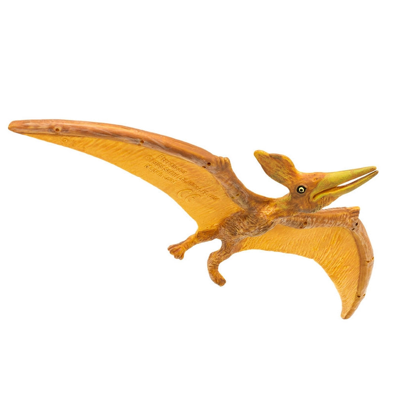 Safari Ltd Pteranodon