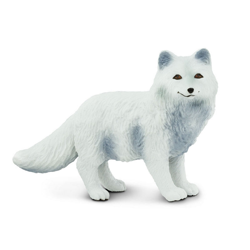 Safari Ltd Arctic Fox