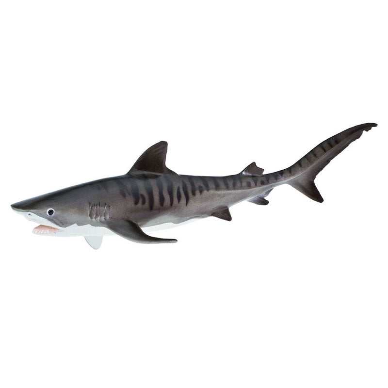 Safari Ltd Tiger Shark