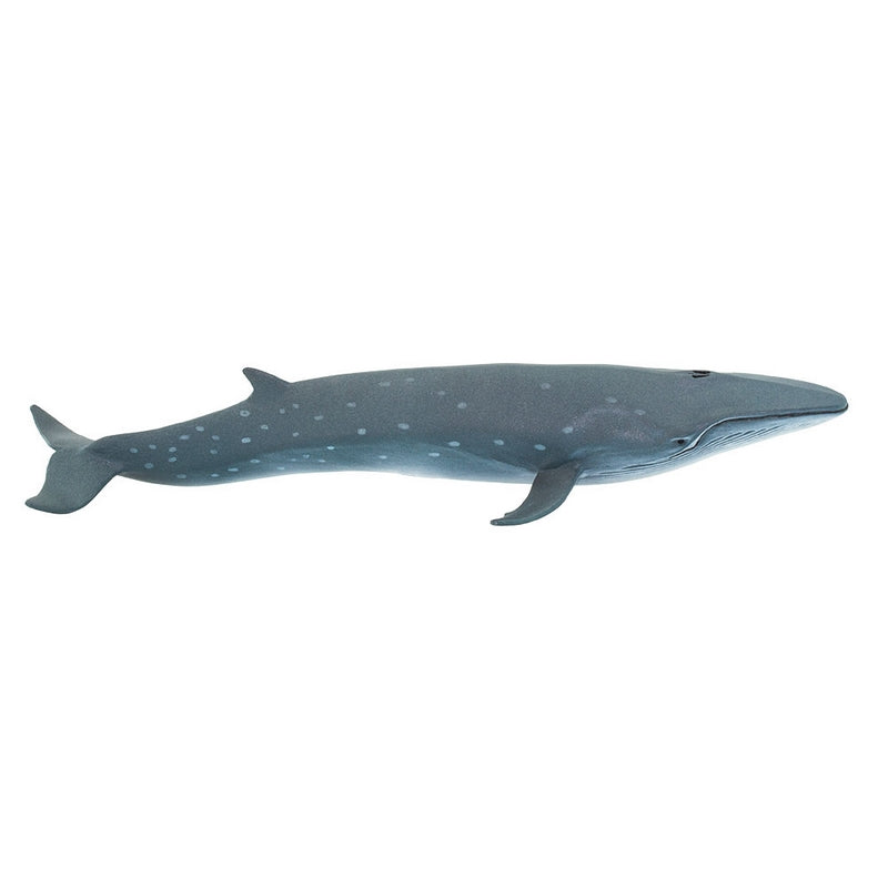 Safari Ltd Sei Whale