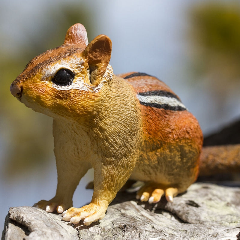 Safari Ltd Eastern Chipmunk