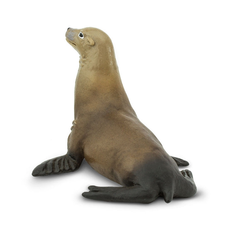 Safari Ltd Sea Lion